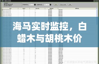 海马实时监控，白蜡木与胡桃木价格深度剖析