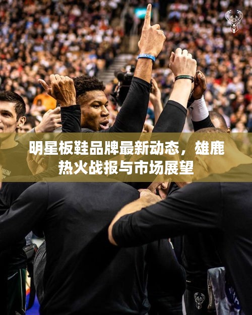 明星板鞋品牌最新动态，雄鹿热火战报与市场展望