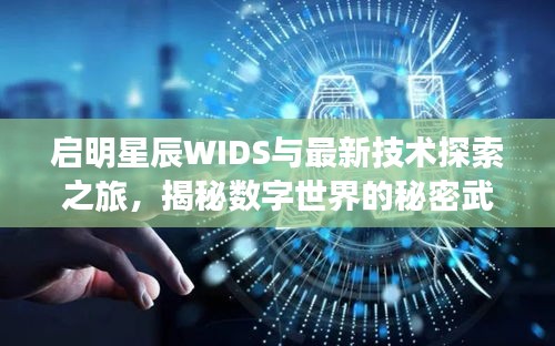 启明星辰WIDS与最新技术探索之旅，揭秘数字世界的秘密武器