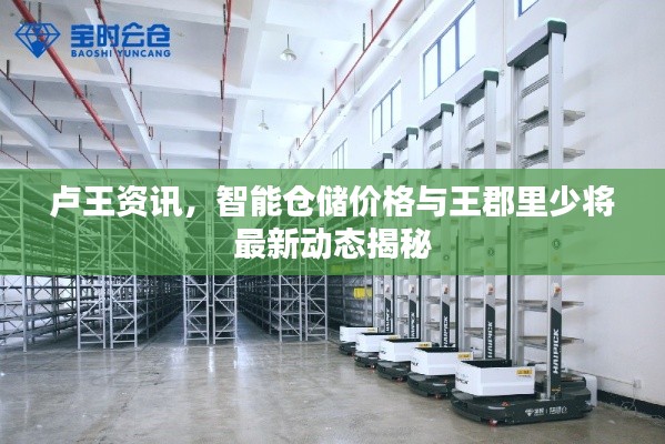 卢王资讯，智能仓储价格与王郡里少将最新动态揭秘