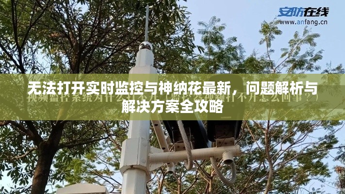无法打开实时监控与神纳花最新，问题解析与解决方案全攻略