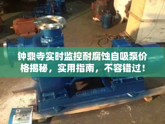 钟鼎寺实时监控耐腐蚀自吸泵价格揭秘，实用指南，不容错过！