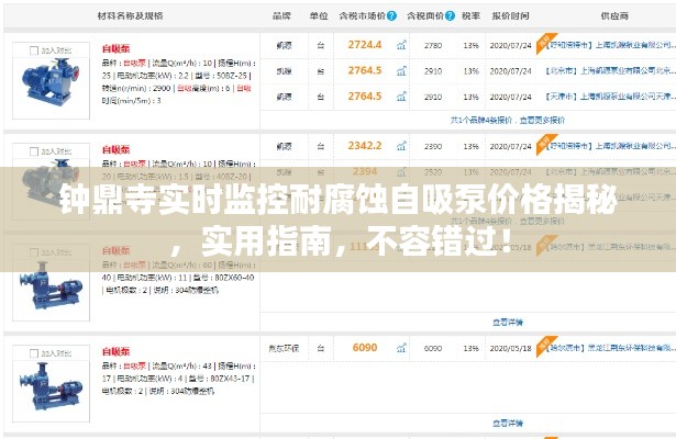 钟鼎寺实时监控耐腐蚀自吸泵价格揭秘,实用指南,不容错过!