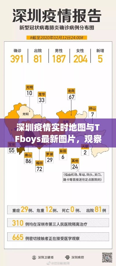 深圳疫情实时地图与TFboys最新图片，观察、解析及前行报告