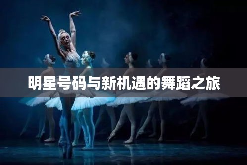 明星号码与新机遇的舞蹈之旅
