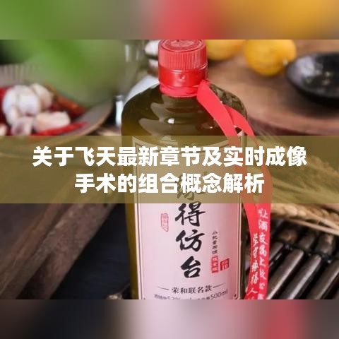 关于飞天最新章节及实时成像手术的组合概念解析