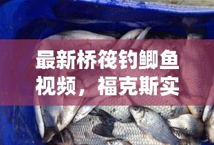 最新桥筏钓鲫鱼视频，福克斯实时投票揭秘钓鱼技巧的艺术