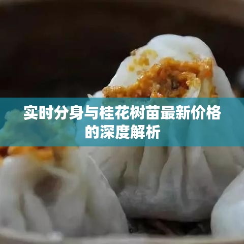 实时分身与桂花树苗最新价格的深度解析