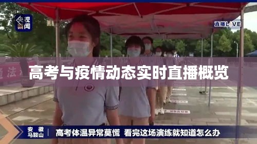 高考与疫情动态实时直播概览