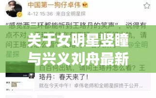 关于女明星竖瞳与兴义刘舟最新去向的深度剖析