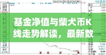基金净值与柴犬币K线走势解读，最新数据与深度分析