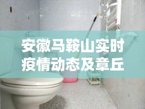 安徽马鞍山实时疫情动态及章丘租房最新信息汇总