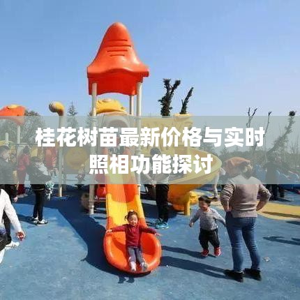 桂花树苗最新价格与实时照相功能探讨