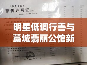 明星低调行善与藁城翡丽公馆新动态，低调华丽的善举与地产新篇章