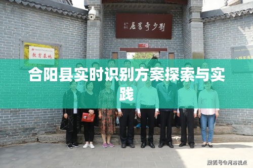 合阳县实时识别方案探索与实践