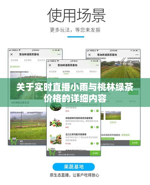 关于实时直播小雨与桃林绿茶价格的详细内容