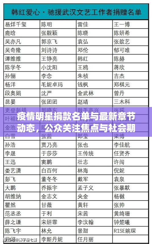 疫情明星捐款名单与最新章节动态，公众关注焦点与社会期待共鸣一览