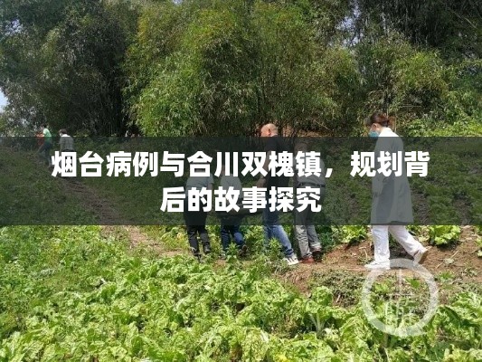 烟台病例与合川双槐镇，规划背后的故事探究