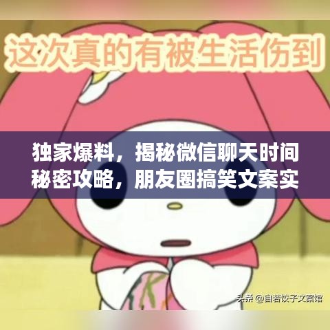 独家爆料，揭秘微信聊天时间秘密攻略，朋友圈搞笑文案实时查询功能开启！