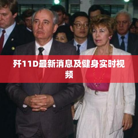 歼11D最新消息及健身实时视频