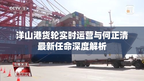 洋山港货轮实时运营与何正清最新任命深度解析