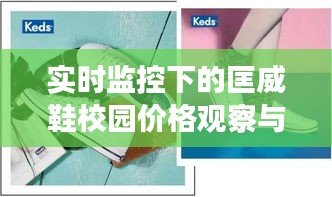 实时监控下的匡威鞋校园价格观察与洞察