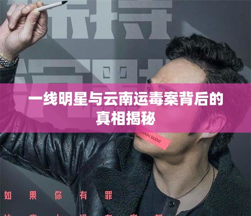 一线明星与云南运毒案背后的真相揭秘