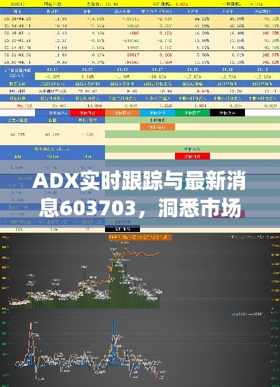 ADX实时跟踪与最新消息603703，洞悉市场脉动，把握投资先机