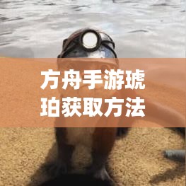 2026年2月2日 第3页