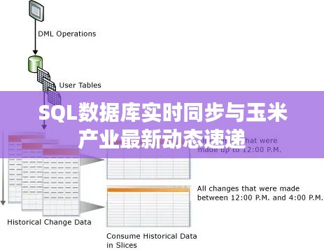 SQL数据库实时同步与玉米产业最新动态速递