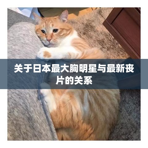 关于日本最大胸明星与最新丧片的关系