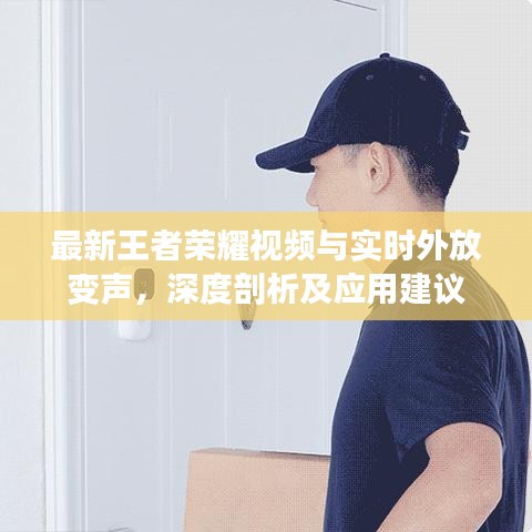 最新王者荣耀视频与实时外放变声,深度剖析及应用建议