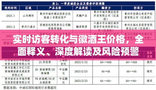实时访客转化与徽酒王价格，全面释义、深度解读及风险预警