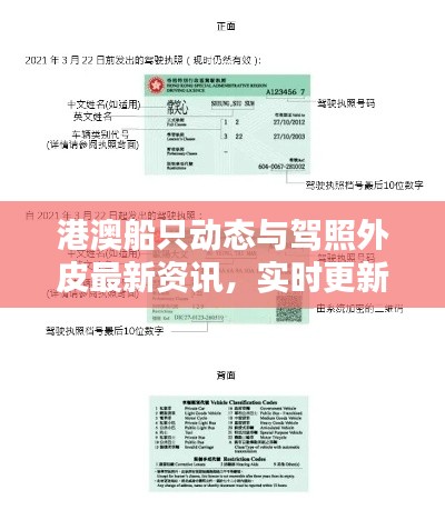 港澳船只动态与驾照外皮最新资讯，实时更新一手掌握