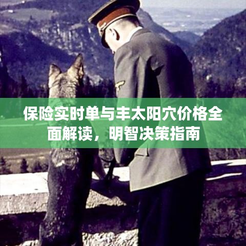 保险实时单与丰太阳穴价格全面解读,明智决策指南