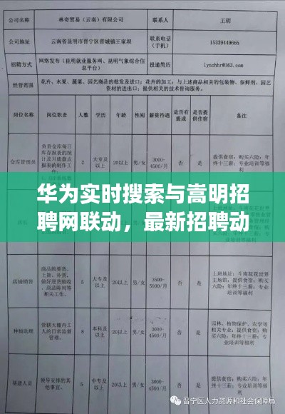 华为实时搜索与嵩明招聘网联动，最新招聘动态速递