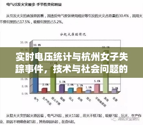 实时电压统计与杭州女子失踪事件，技术与社会问题的探究