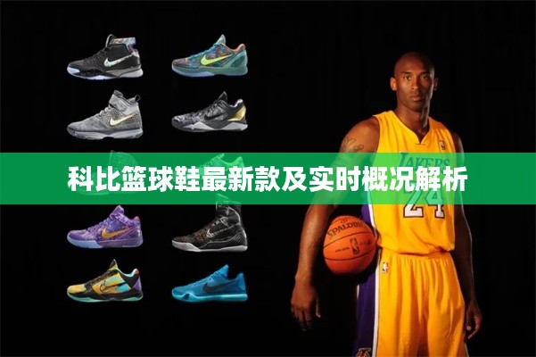 科比篮球鞋最新款及实时概况解析