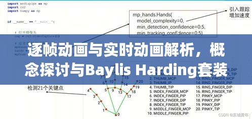 逐帧动画与实时动画解析，概念探讨与Baylis Harding套装价格探讨
