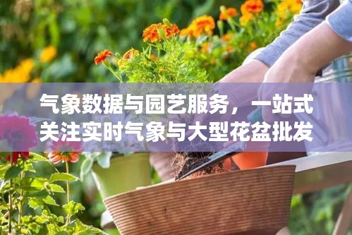 气象数据与园艺服务，一站式关注实时气象与大型花盆批发价格