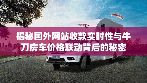 揭秘国外网站收款实时性与牛刀房车价格联动背后的秘密