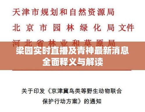 梁园实时直播及青神最新消息全面释义与解读