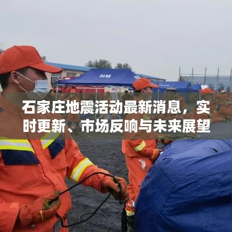 石家庄地震活动最新消息,实时更新、市场反响与未来展望