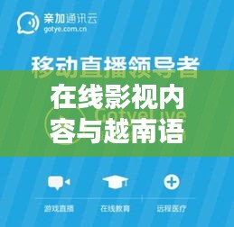 在线影视内容与越南语实时翻译，创新与用户体验的深度融合研究