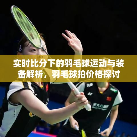 实时比分下的羽毛球运动与装备解析,羽毛球拍价格探讨
