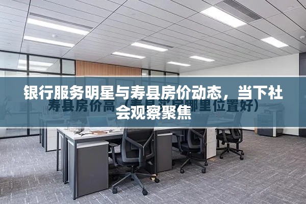 银行服务明星与寿县房价动态，当下社会观察聚焦