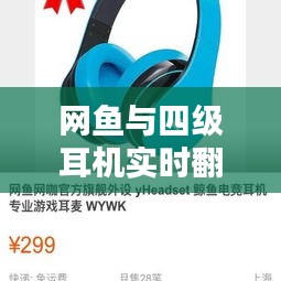 网鱼与四级耳机实时翻译，技术与娱乐的巅峰融合