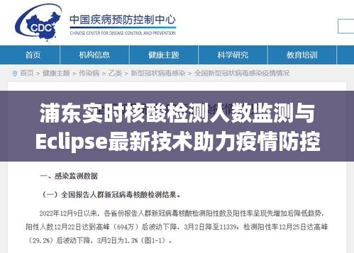 浦东实时核酸检测人数监测与Eclipse最新技术助力疫情防控
