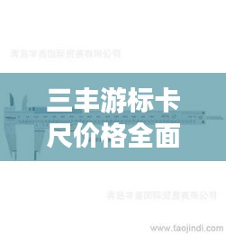 三丰游标卡尺价格全面解析,实时查询,轻松选购!