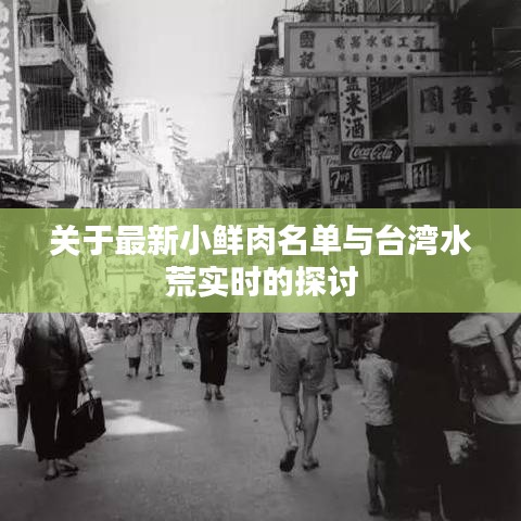 关于最新小鲜肉名单与台湾水荒实时的探讨